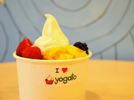 Mr. Yogato Frozen Yogurt